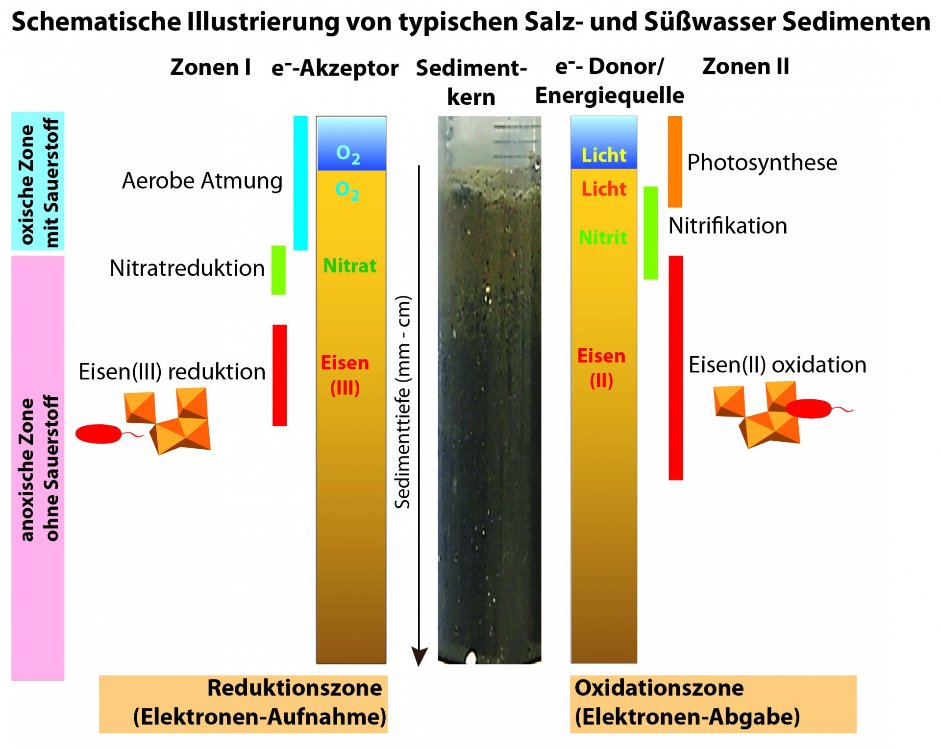 Redoxzonen
