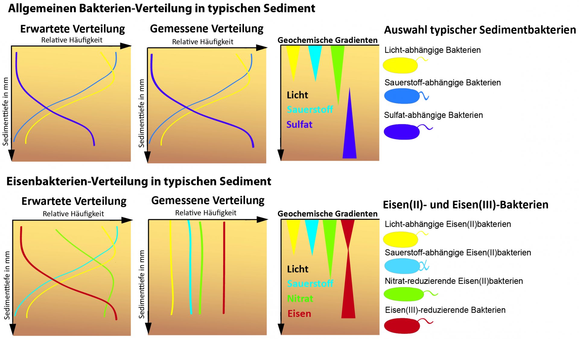 Veretilung von FeOx