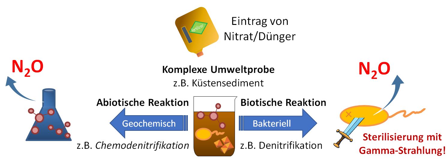 Chemical and Biotic