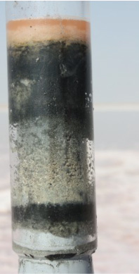 Core from the sabkha, showing the salt layer, the pigmented area above bölack sediment, and the sand layer. Core from the sabkha, showing the salt layer, the pigmented area above bölack sediment, and the sand layer.