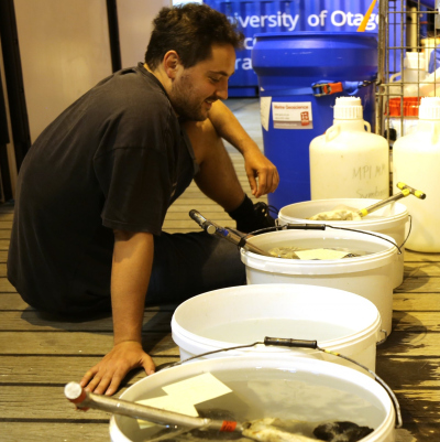 Benedikt Geier on board the research vessel FS Sonne, enjoying a view of his research objects – buckets full of deep-sea mussels after they were brought up to the surface. (© Marie Heidenreich)