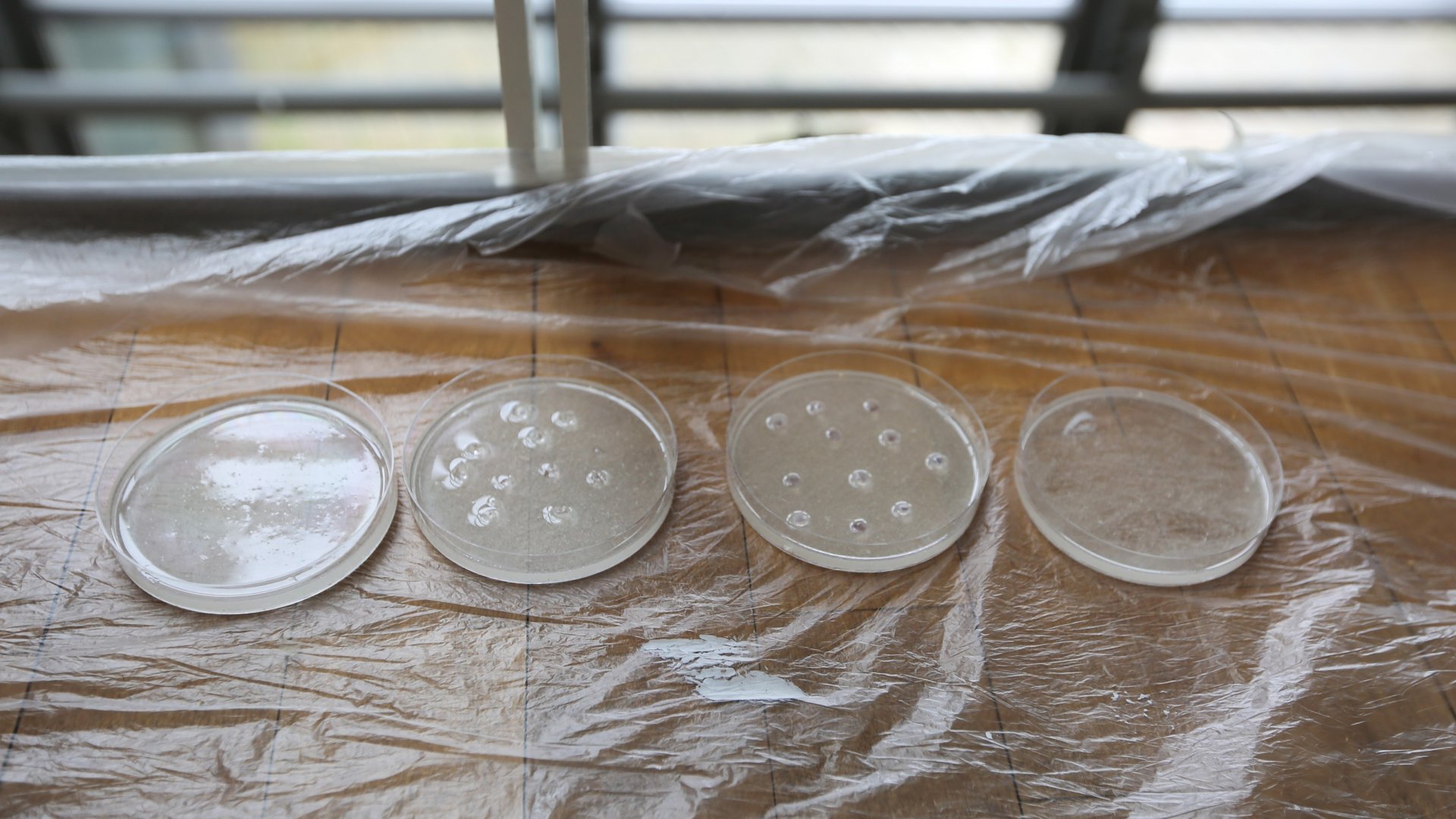 © Max Planck Institute for Marine Microbiology, K. Matthes © Max Planck Institute for Marine Microbiology, K. Matthes