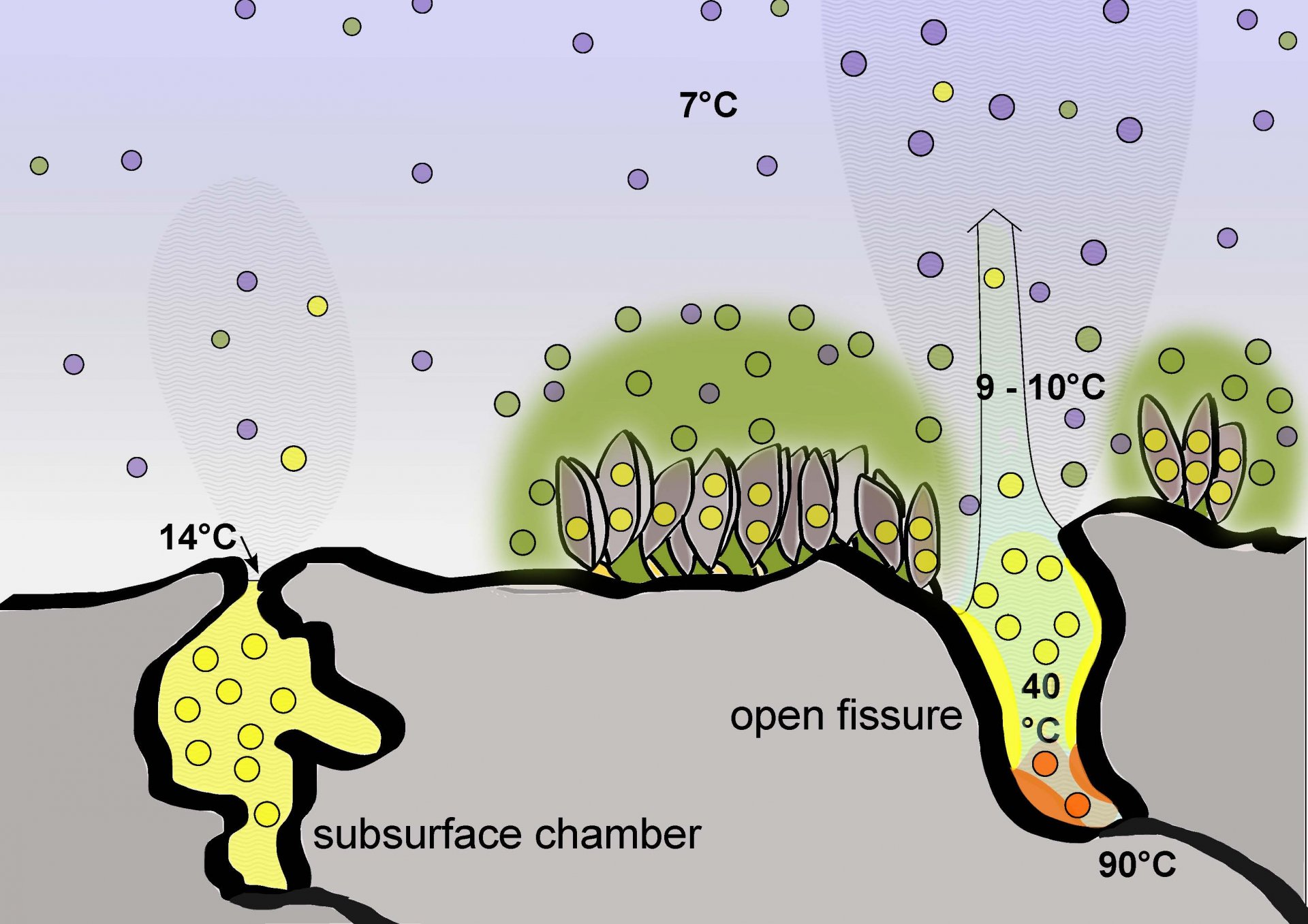 Meier et al. 2016 Meier et al. 2016