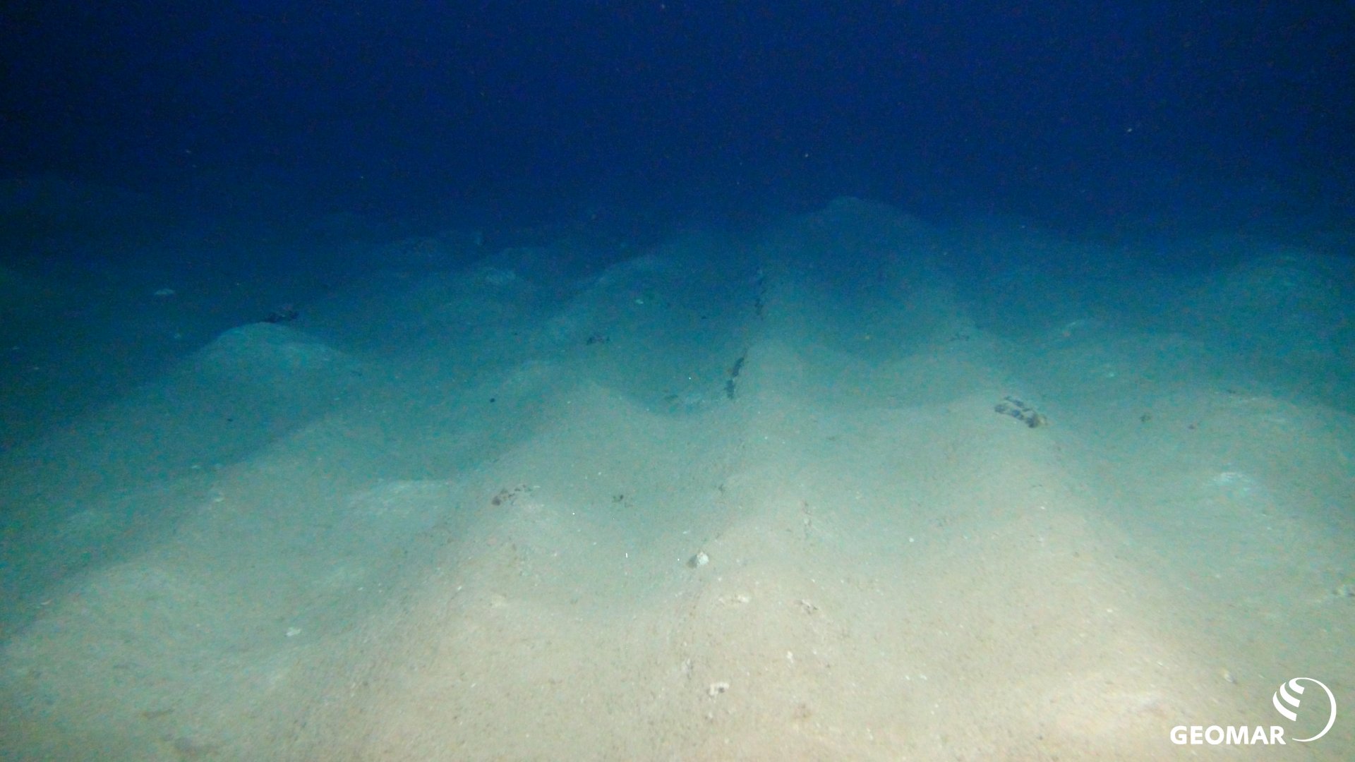 The plough tracks in which the manganese nodules were ploughed under and the sediments disturbed are still clearly visible after 26 years. (Source: ROV-Team/GEOMAR)