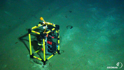 Measuring respiration right next to a plough track as a measure for microbial activity in the seafloor in the DISCOL area during expedition SO242. (Source: ROV-Team/GEOMAR)