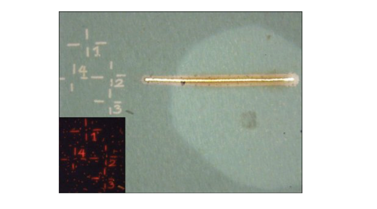 LMD marking on a polycarbonate filter. The laser is used to mark the areas of interest on a sample prior to NanoSIMS analysis.