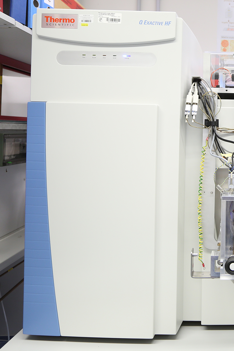 The mass spectrometer. (© Max-Planck-Institut für Marine Mikrobiologie/ K. Matthes) The mass spectrometer. (© Max-Planck-Institut für Marine Mikrobiologie/ K. Matthes)
