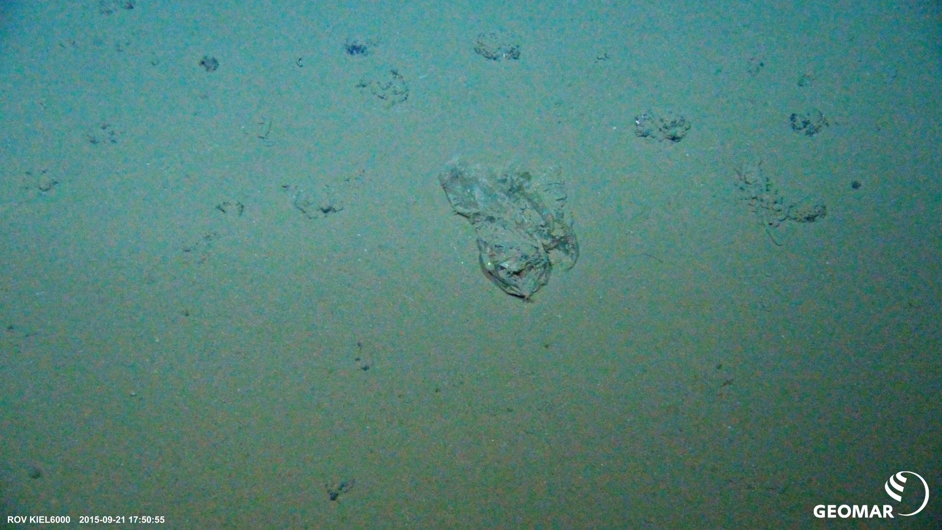 Plastic bag at the seafloor of the DISCOL area as seen by the deep-sea robot ROV Kiel 6000 (© GEOMAR, Matthias Haeckel)