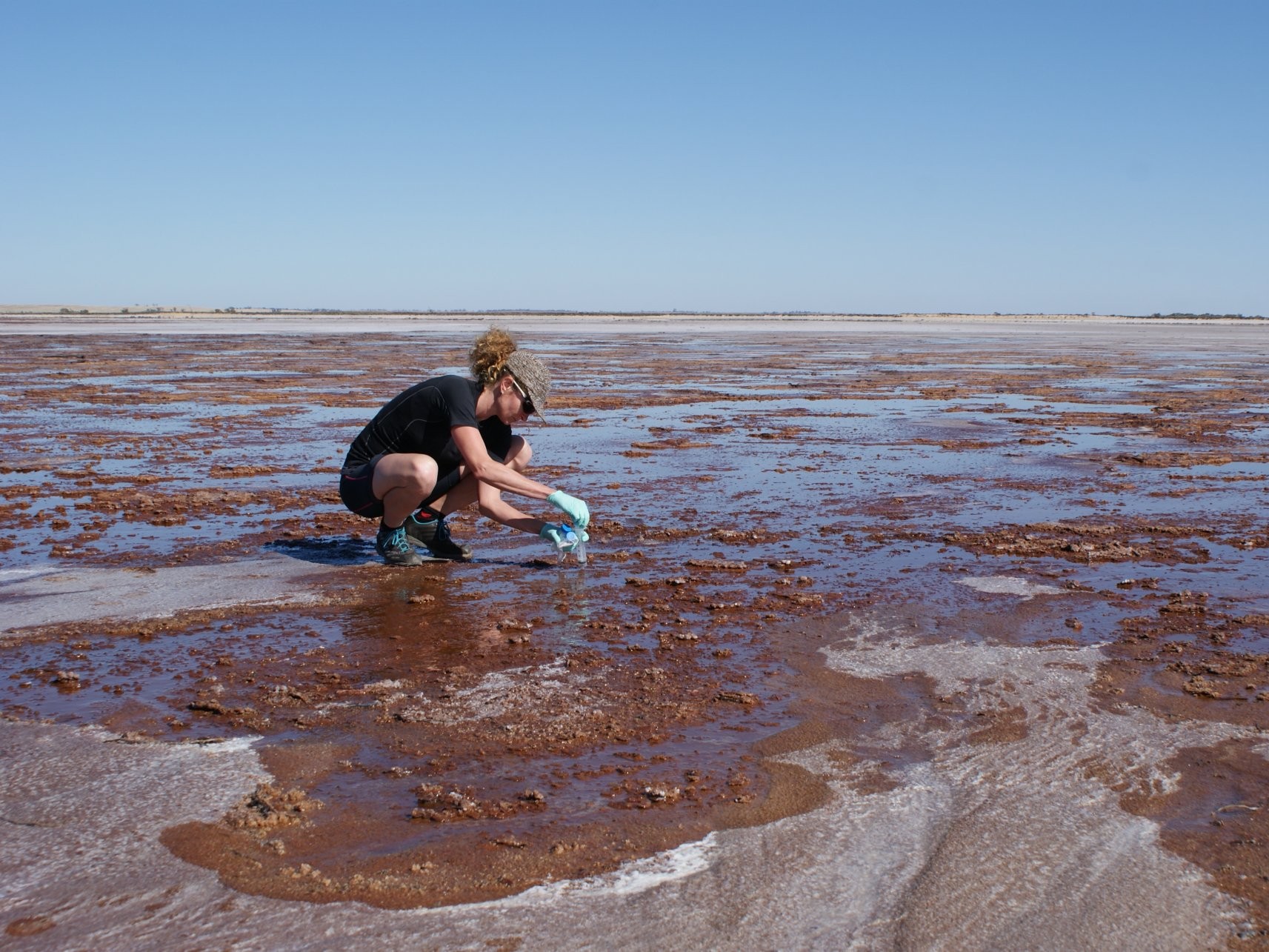 Susanne Erdmann sampling for archaeal viruses at a hypersaline lake in Australia. (© Susanne Erdmann)