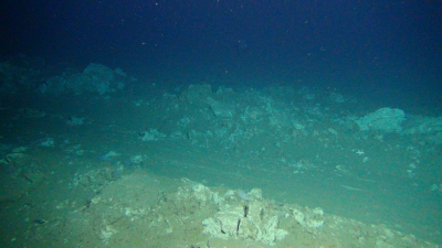 Die Pflugspuren sind auch 26 Jahre nach der Störung auf dem Meeresboden des DISCOL-Gebiets immer noch deutlich zu erkennen. (© ROV-Team/GEOMAR) Die Pflugspuren sind auch 26 Jahre nach der Störung auf dem Meeresboden des DISCOL-Gebiets immer noch deutlich zu erkennen. (© ROV-Team/GEOMAR)