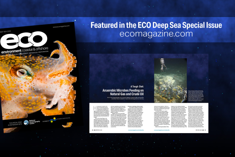 ECO Magazin: A tough diet for deep sea microbes