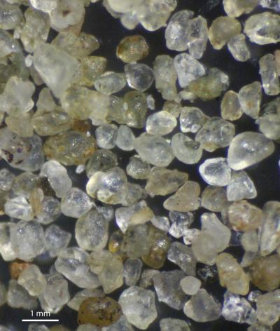 sand grains sand grains