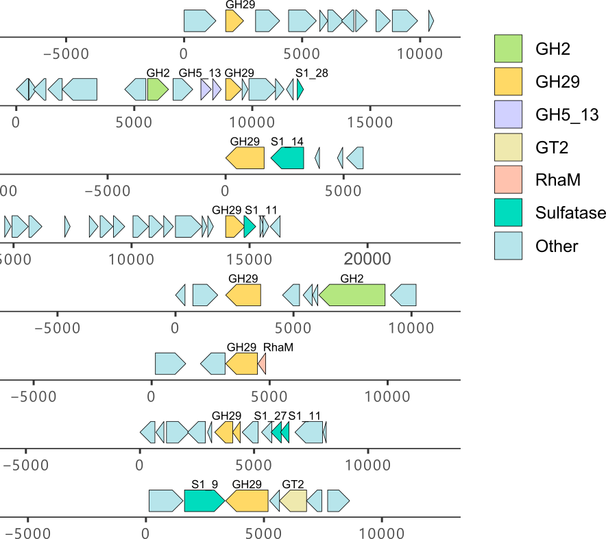 Genomic organization of GH