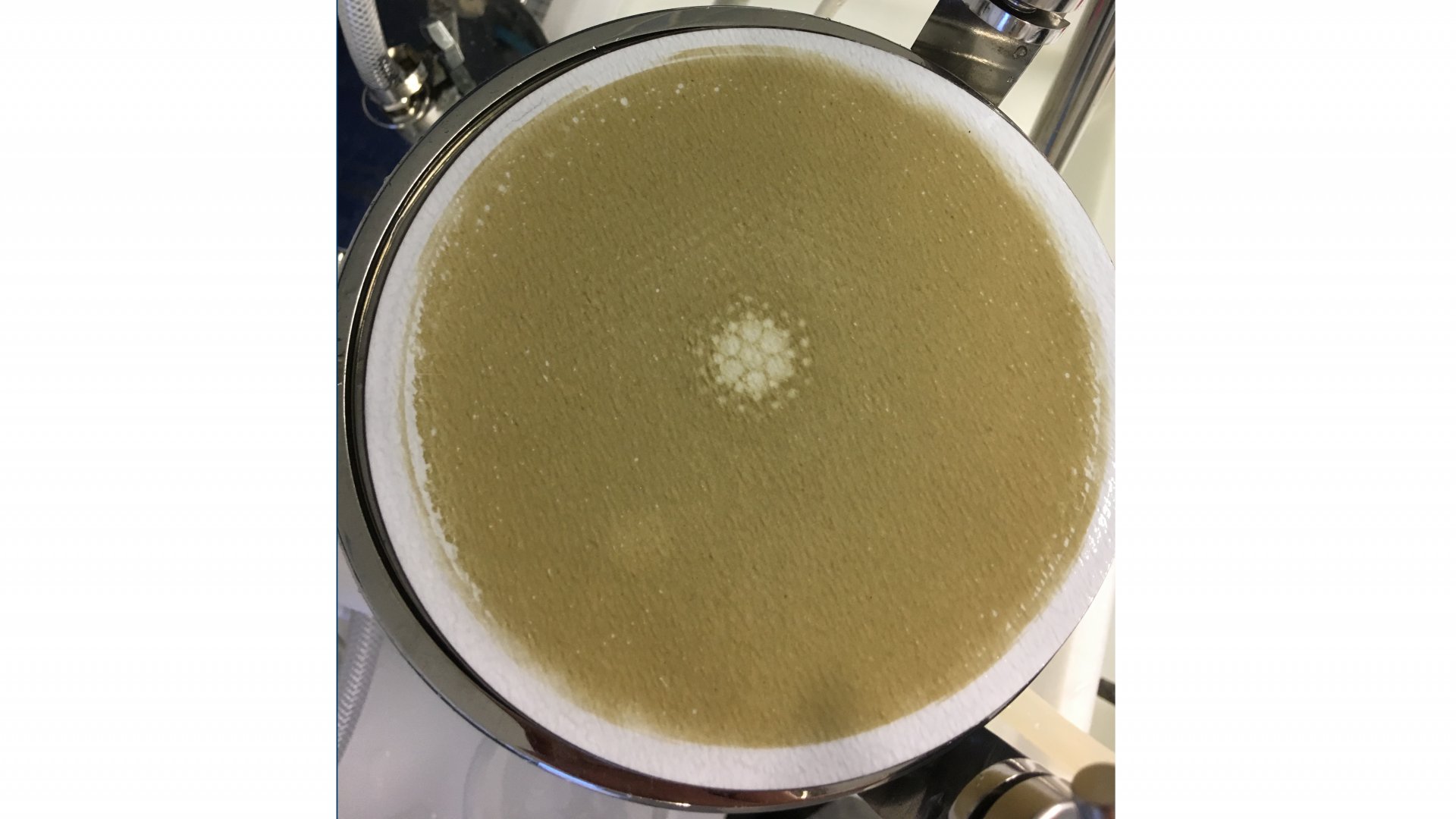 Detailaufnahme eines Filters, der mit organischen Partikeln bedeckt ist. Das Material stammt aus der Phytoplankton-Algenblüte im Frühling vor Helgoland. (© Max-Planck-Institut für Marine Mikrobiologie/ S. Vidal-Melgosa)