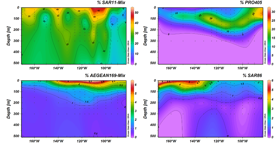 Microbial distribution across the SPG Microbial distribution across the SPG