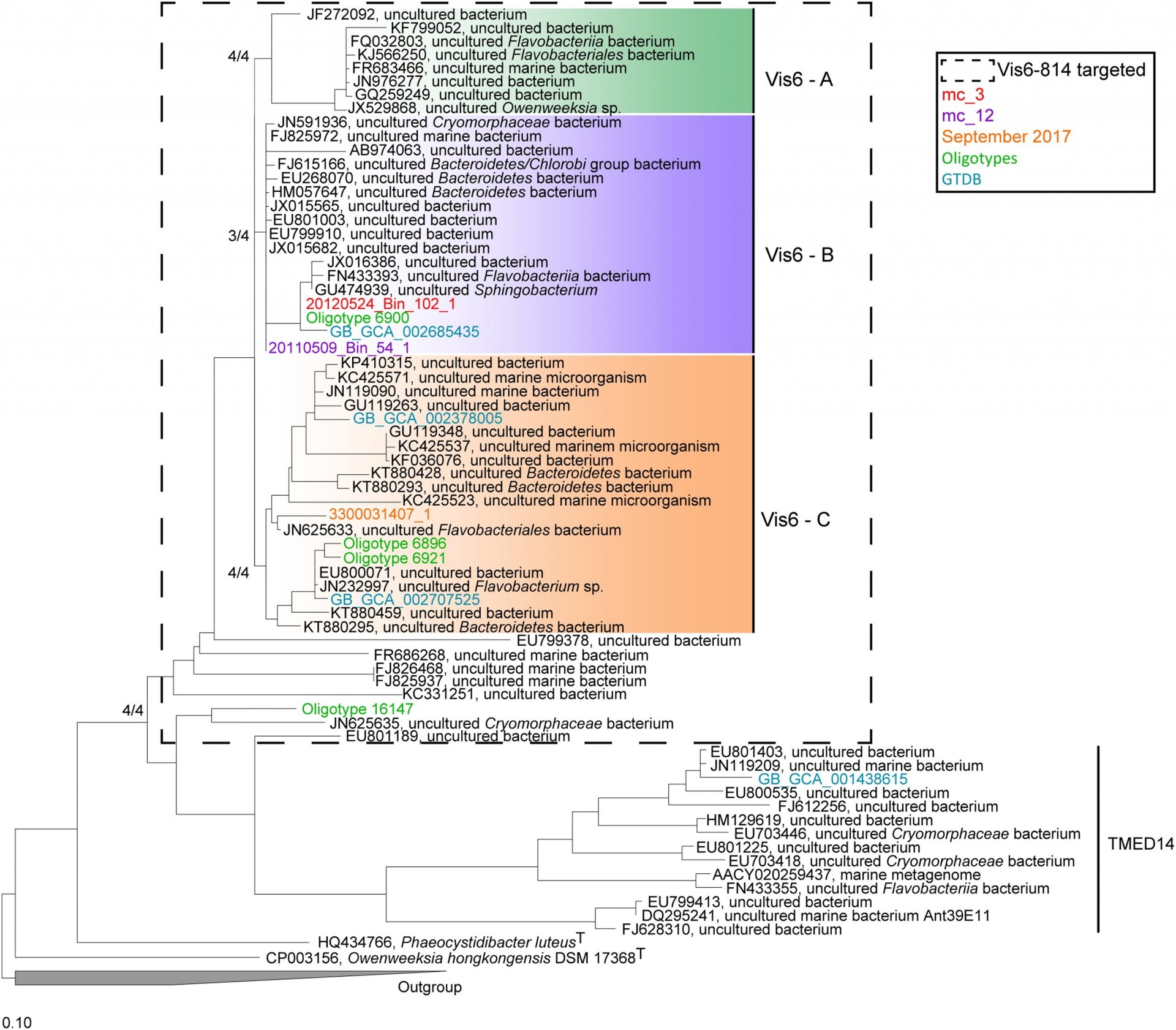 Research Areas of the Molecular Ecology Group