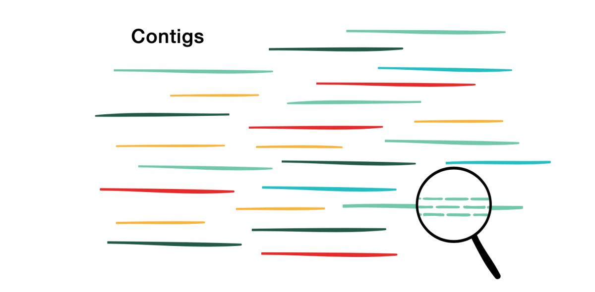 (© Max Planck Institute for Marine Microbiology, A. Esken)