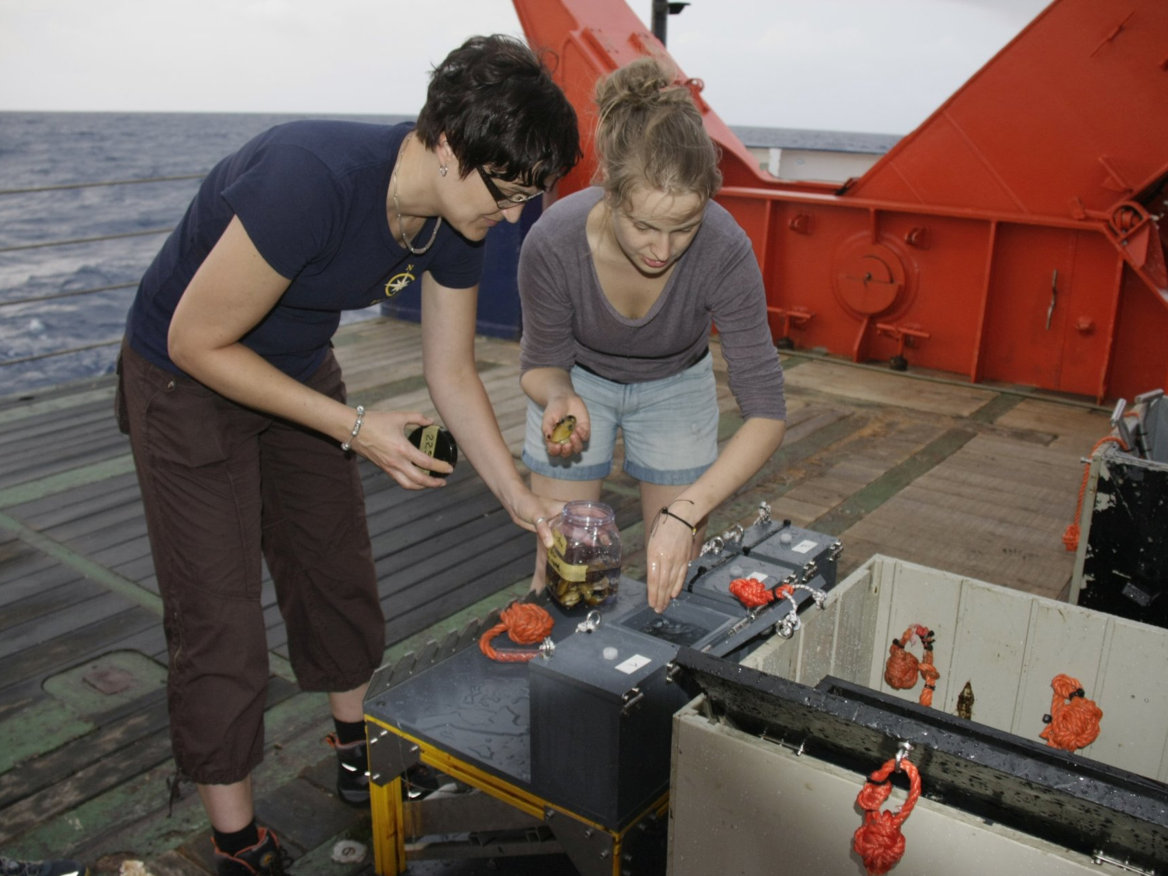 Rebecca Ansorge and technician Silke Wetzel collect specimen of Bathymodiolus-mussels that were retrieved from the deep with the submersible MARUM-QUEST. (© Max Planck Institut for Marine Mikrobiology, C. Borowski)
