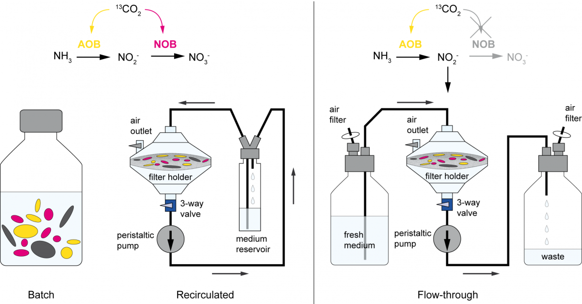 Flow-SIP