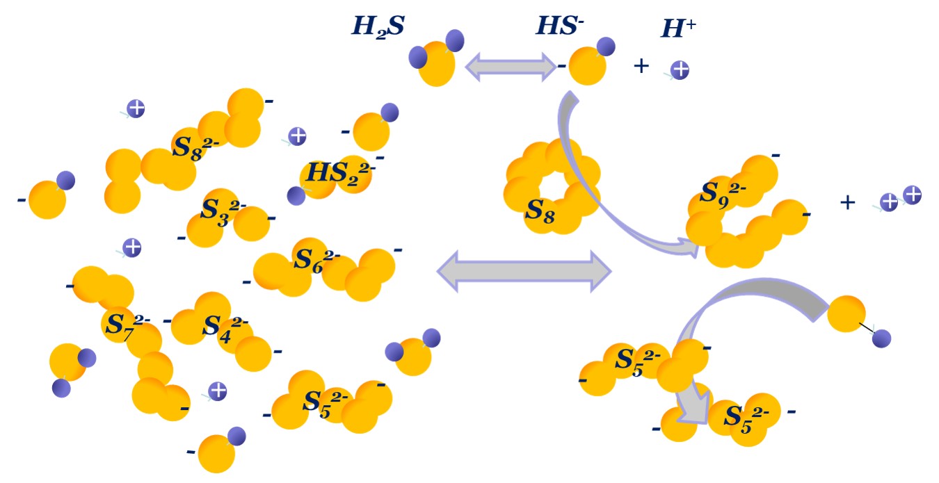 Polysulfide Equilibrium