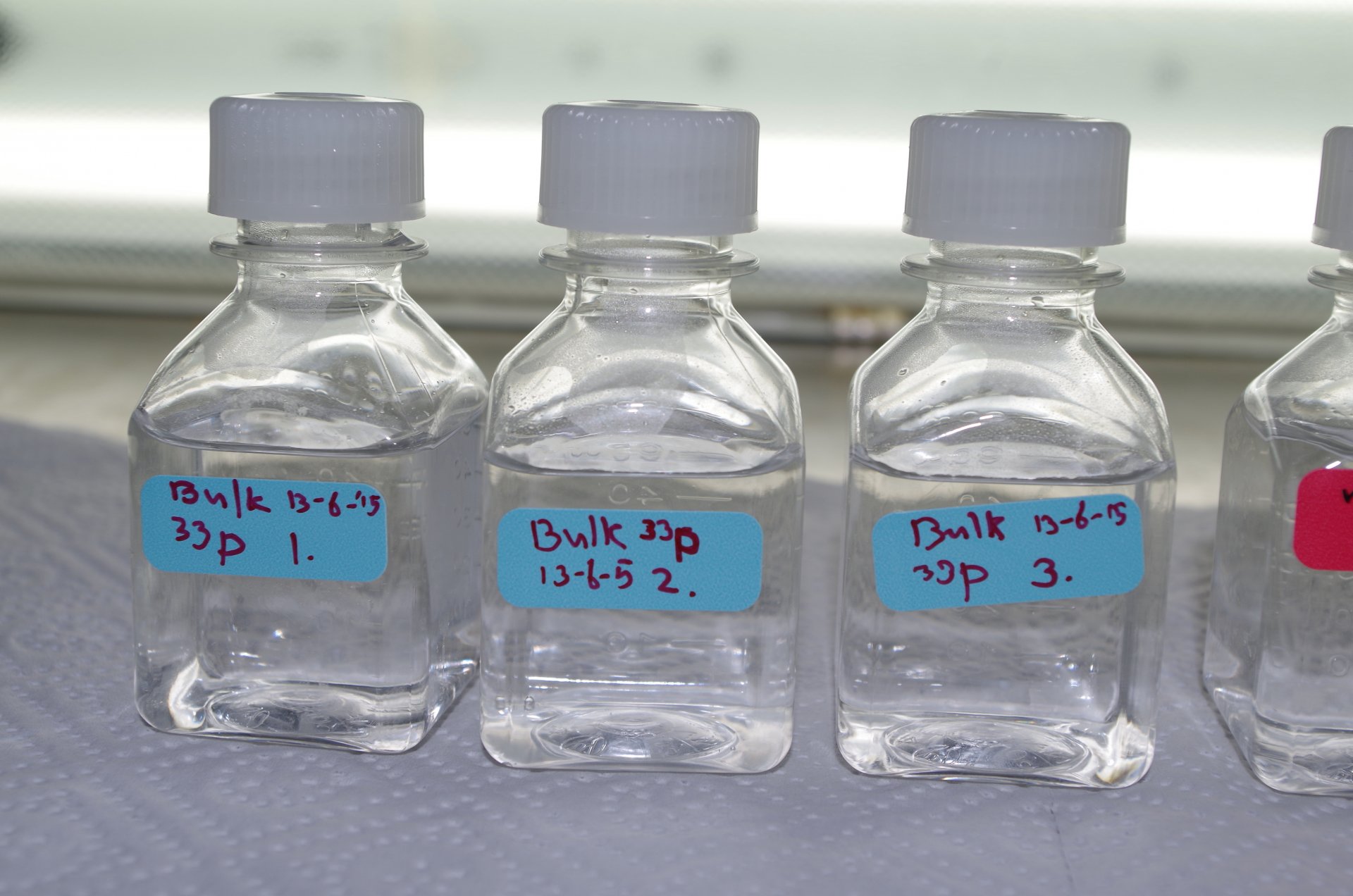 33P uptake experiments 33P uptake experiments