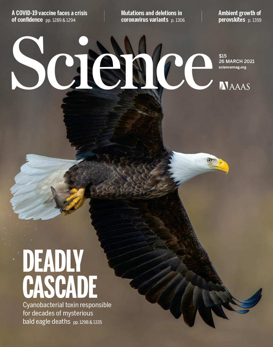 Titelbild der aktuellen Ausgabe von "Science" / (C) AAAS