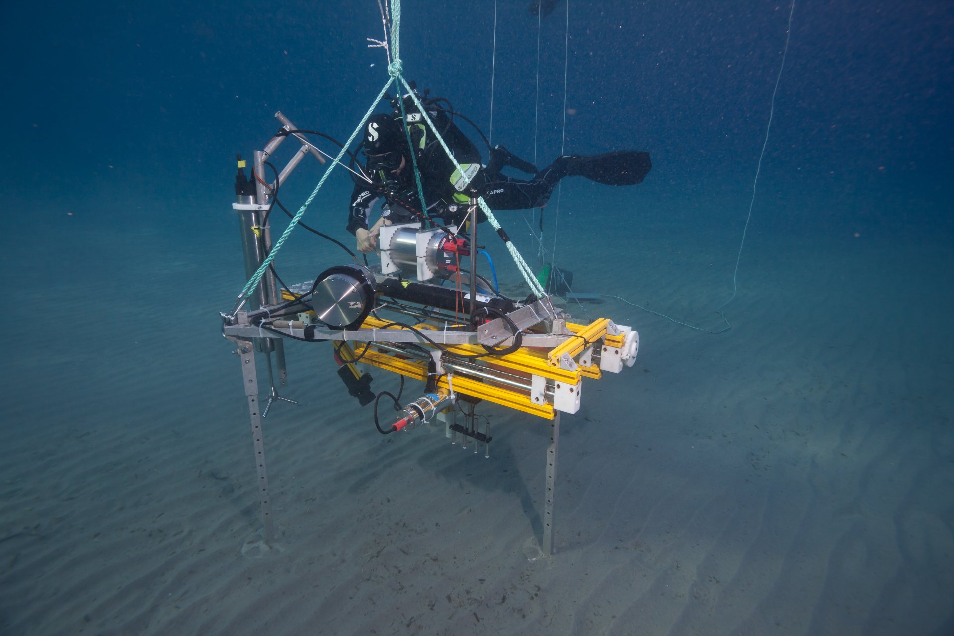 Lance-A-Lot gibt es in drei verschiedenen Größen. Das Bild zeigt die kleine Variante. (© Max-Planck-Institut für Marine Mikrobiologie, S. Ahmerkamp)