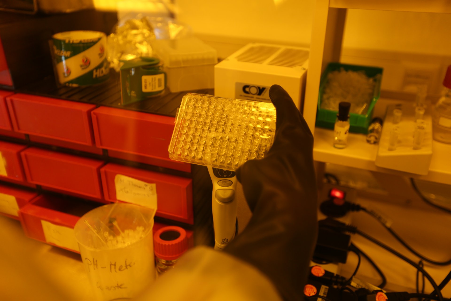 Crystal plate in the crystal tent. Liquid containing the crystallized enzymes is filled into this plate. (©Max Planck Institute for Marine Microbiology, K. Matthes) 