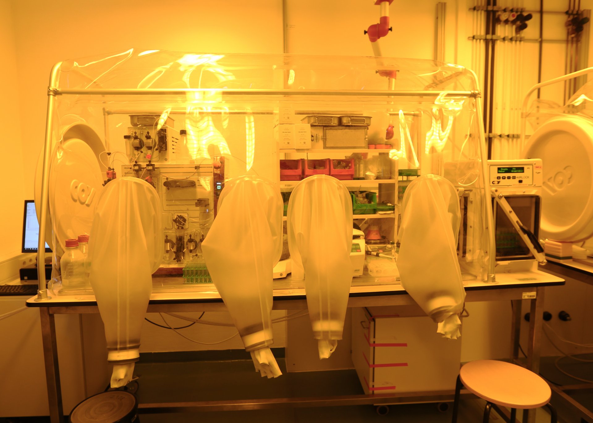 Anaerobes Zelt mit Wasserstoff/Stickstoff Atmosphäre. (©Max-Planck-Institut für Marine Mikrobiologie, K. Matthes)
