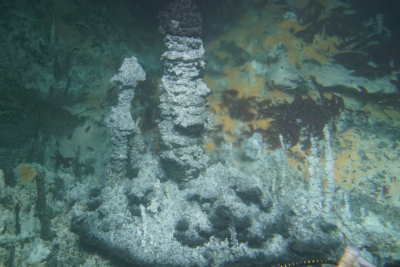Die hydrothermalen Schlote des Guaymas-Beckens – die „Heimat“ der untersuchten methanoxidierenden Mikroben. Die wärmeliebenden Mikroorganismen gedeihen unter den orangefarbenen mikrobiellen Matten im Hintergrund. Die hohen Temperaturen des aufsteigenden W