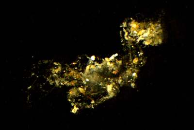 © Max Planck Institute for Marine Microbiology, C. Karthäuser and S. Ahmerkamp