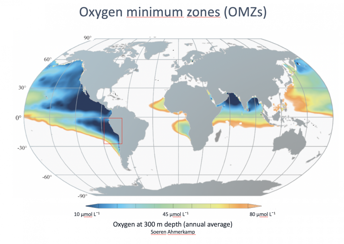 Weltkarte mit einer Übersicht der Sauerstoff-Minimumzonen. Vor Mittel- und Südamerika sind sie am größten. Aber auch in der Ostsee kommen sie vor. Der rote Kasten markiert die Sauerstoffminimumzone vor Peru, in der die Proben für diese Studie genommen wurden.  (© Max-Planck-Institut für Marine Mikrobiologie/S. Ahmerkamp)