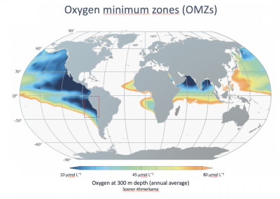 Map with an overview of the oxygen minimum zones. The largest are located offshore Middle and South America, but oxygen depleted areas can also be found in the Baltic Sea. The red box marks the oxygen minimum zone off Peru where samples were collected for this study. (©Max Planck Institute for Marine Microbiology/S. Ahmerkamp) Map with an overview of the oxygen minimum zones. The largest are located offshore Middle and South America, but oxygen depleted areas can also be found in the Baltic Sea. The red box marks the oxygen minimum zone off Peru where samples were collected for this study. (©Max Planck Institute for Marine Microbiology/S. Ahmerkamp)