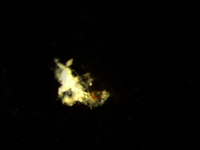 Small marine “snowflakes” are very important for the nutrient balance of the oceans. The particle shown here is highly magnified – in reality small particles are only about the size of a hair and thus barely visible. (© Max Planck Institute for Marine Microbiology/C. Karthäuser and S. Ahmerkamp) Small marine “snowflakes” are very important for the nutrient balance of the oceans. The particle shown here is highly magnified – in reality small particles are only about the size of a hair and thus barely visible. (© Max Planck Institute for Marine Microbiology/C. Karthäuser and S. Ahmerkamp)