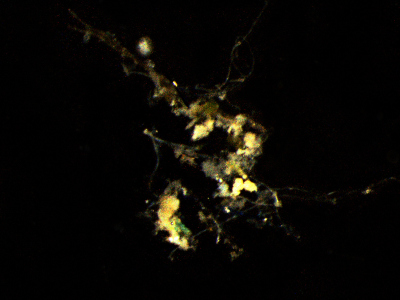 Small marine “snowflakes” are very important for the nutrient balance of the oceans. The particle shown here is highly magnified – in reality small particles are only about the size of a hair and thus barely visible. (© Max Planck Institute for Marine Microbiology/C. Karthäuser and S. Ahmerkamp) Small marine “snowflakes” are very important for the nutrient balance of the oceans. The particle shown here is highly magnified – in reality small particles are only about the size of a hair and thus barely visible. (© Max Planck Institute for Marine Microbiology/C. Karthäuser and S. Ahmerkamp)