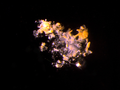 Small marine “snowflakes” are very important for the nutrient balance of the oceans. The particle shown here is highly magnified – in reality small particles are only about the size of a hair and thus barely visible. (© Max Planck Institute for Marine Microbiology/C. Karthäuser and S. Ahmerkamp) Small marine “snowflakes” are very important for the nutrient balance of the oceans. The particle shown here is highly magnified – in reality small particles are only about the size of a hair and thus barely visible. (© Max Planck Institute for Marine Microbiology/C. Karthäuser and S. Ahmerkamp)