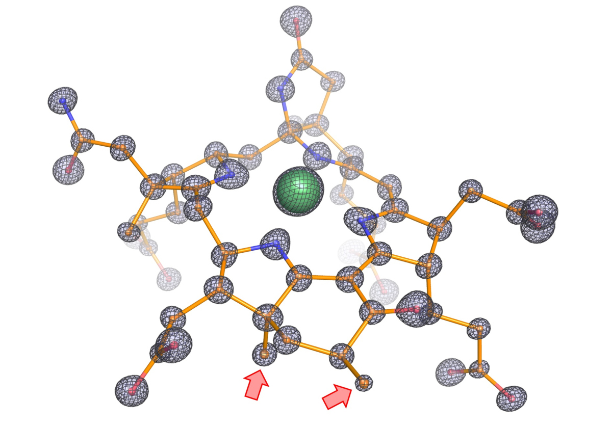 Molecular structure of the modified cofactor from the enzyme. The figure shows the atomic composition of the cofactor with carbon, nitrogen, oxygen and nickel represented as balls and colored in orange, blue, red and green, respectively. Sticks represent the covalent bonds between atoms. The precise localization of each individual atom was possible thanks to the very sharp electron density (black mesh). Such high level of details revealed two extra methylations on the cofactor, highlighted by red arrows, these methylations do not exist in enzymes specialized for methane. (© Max Planck Institute for Marine Microbiology/ O. Lemaire and T. Wagner)