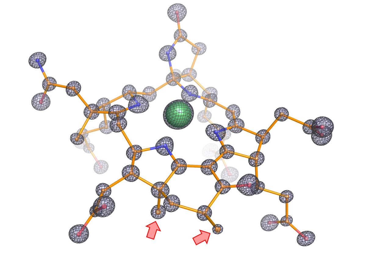 Molekulare Struktur des modifizierten Kofaktors aus dem Enzym. Die Abbildung zeigt die atomare Zusammensetzung des Kofaktors, wobei Kohlenstoff, Stickstoff, Sauerstoff und Nickel als Kugeln dargestellt und jeweils orange, blau, rot und grün eingefärbt sind. Die Stäbchen stellen die Bindungen zwischen den Atomen dar. Die präzise Lokalisierung jedes einzelnen Atoms war durch die sehr scharfe Elektronendichte möglich (schwarzes Netz). Diese hohe Detailgenauigkeit offenbarte zwei zusätzliche Methylgruppen am Kofaktor, (siehe rote Pfeile). Diese Methylgruppen sind besonders und existieren nicht in Enzymen, die auf Methan spezialisiert sind. (©Max-Planck-Institut für Marine Mikrobiologie, O. Lemaire und T. Wagner) Molekulare Struktur des modifizierten Kofaktors aus dem Enzym. Die Abbildung zeigt die atomare Zusammensetzung des Kofaktors, wobei Kohlenstoff, Stickstoff, Sauerstoff und Nickel als Kugeln dargestellt und jeweils orange, blau, rot und grün eingefärbt sind. Die Stäbchen stellen die Bindungen zwischen den Atomen dar. Die präzise Lokalisierung jedes einzelnen Atoms war durch die sehr scharfe Elektronendichte möglich (schwarzes Netz). Diese hohe Detailgenauigkeit offenbarte zwei zusätzliche Methylgruppen am Kofaktor, (siehe rote Pfeile). Diese Methylgruppen sind besonders und existieren nicht in Enzymen, die auf Methan spezialisiert sind. (©Max-Planck-Institut für Marine Mikrobiologie, O. Lemaire und T. Wagner)