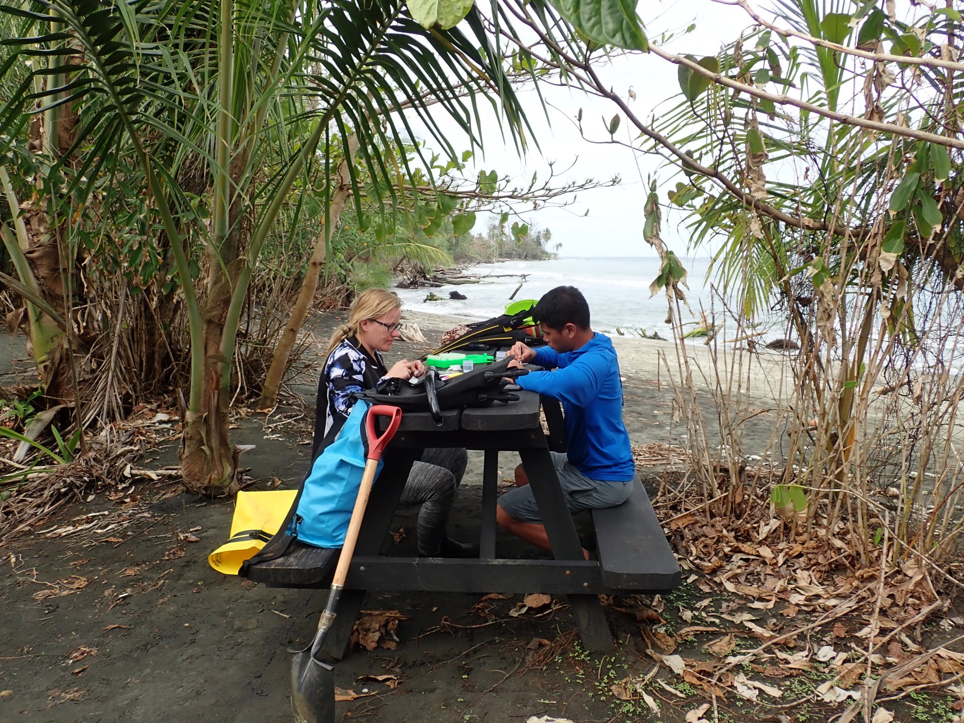 Laetitia Wilkins and Benedict Yuen in Cahuita, Costa Rica, dissecting freshly collected clams. (© Laetitia Wilkins)