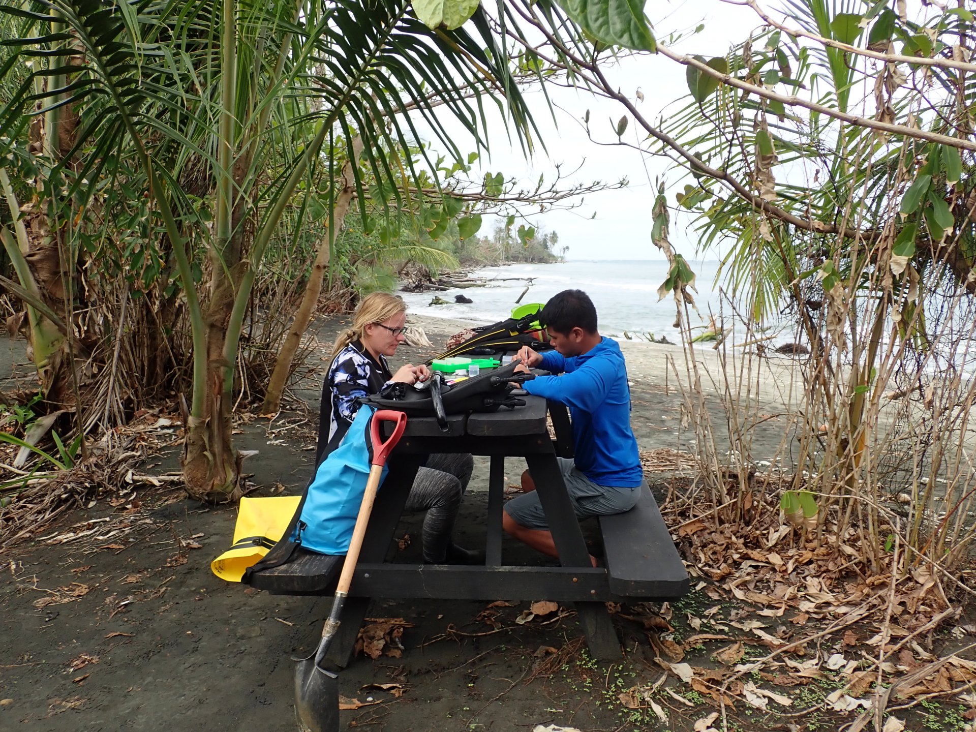 Laetitia Wilkins und Benedict Yuen sezieren in Cahuita, Costa Rica, frisch gesammelte Muscheln. (© Laetitia Wilkins)