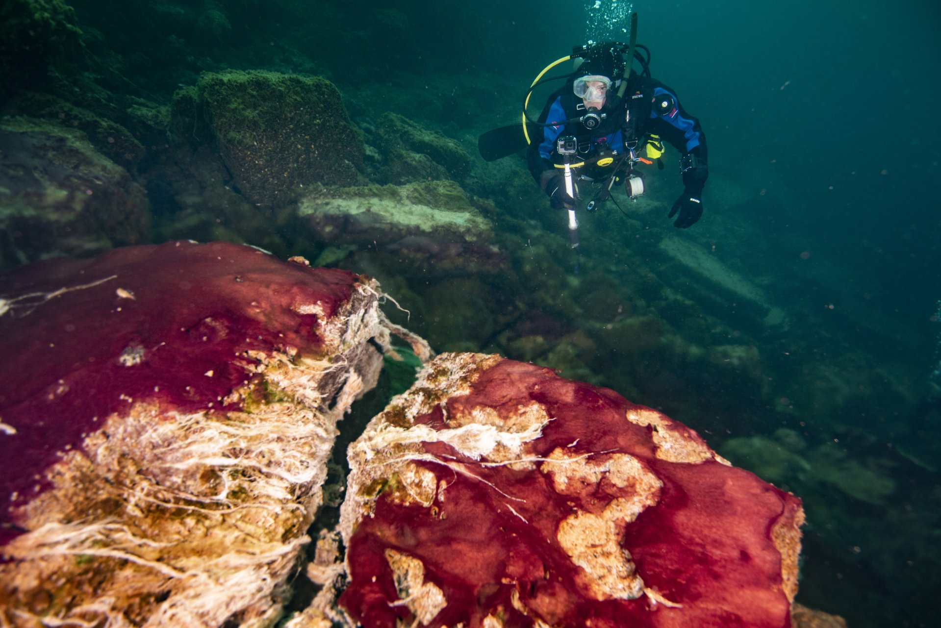 A scuba diver in the Middle Island Sinkhole