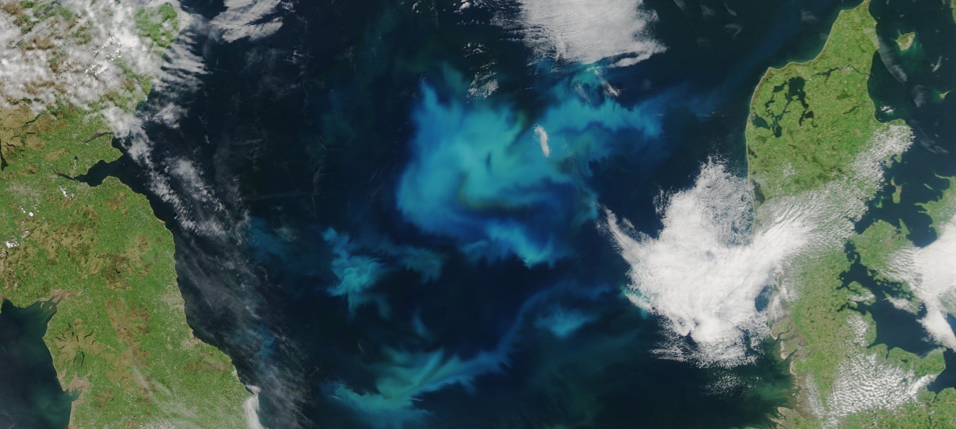 Algal spring blooms © NASA Earth Observatory