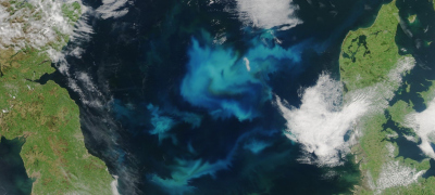 Algal spring blooms © NASA Earth Observatory