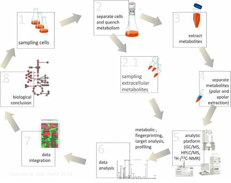 Metabolic interactions