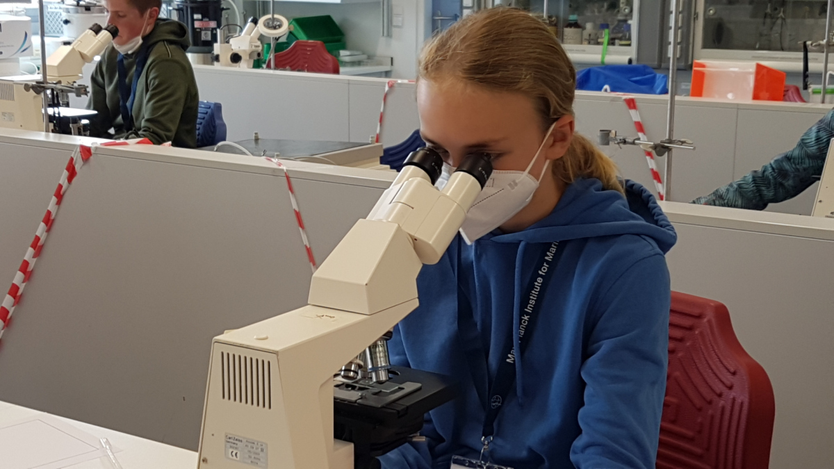 Probenanalyse Probenanalyse