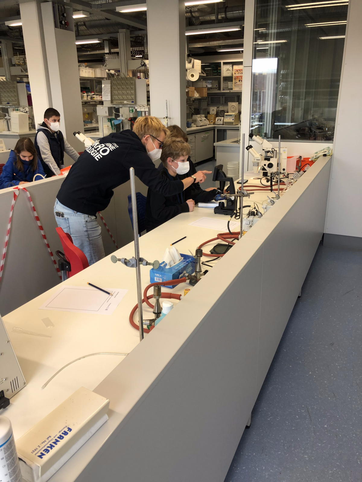 Probenanalyse Probenanalyse