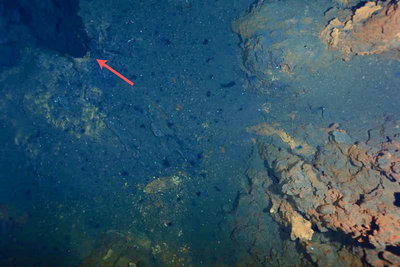 Die hydrothermalen Schlote von Aurora am Gakkel-Rücken 